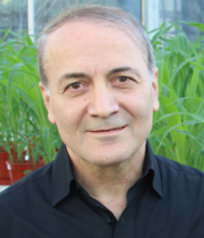 Ismail Cakmak