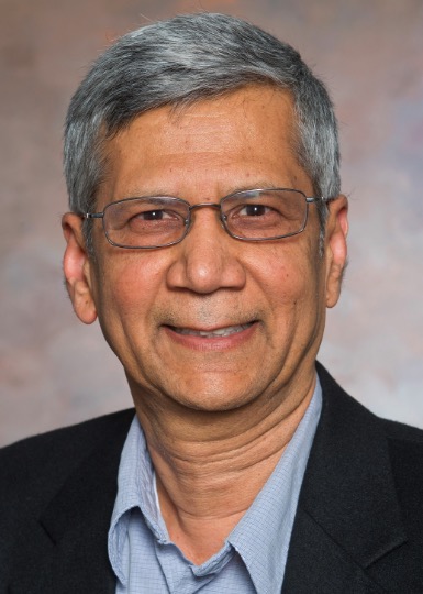 Satish Kandlikar