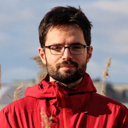Radu Darie