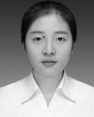 Yihong Leng