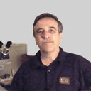Enrico Borghi