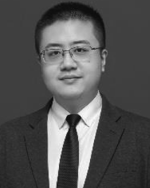Meng Zhang