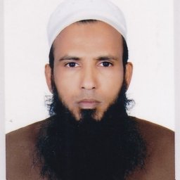 Md. Anamul Hoque