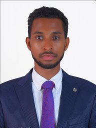 Tesfamariam M. Abuhay