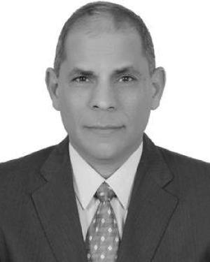 Magdy M. Zaky