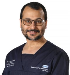 Ahmed E. Habib