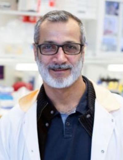 Hadi Valadi