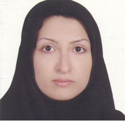 Toktam Zoughi