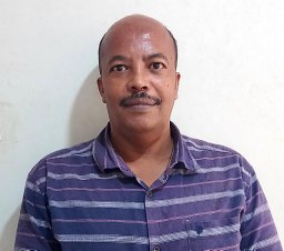 m m woldeamanuel