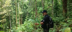 Hendra Helmanto