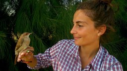 Lucia Mentesana