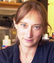Judith Frydman