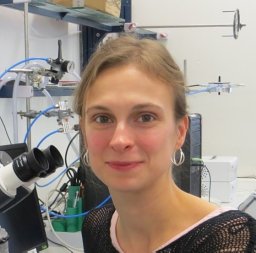 Anna S Schenk