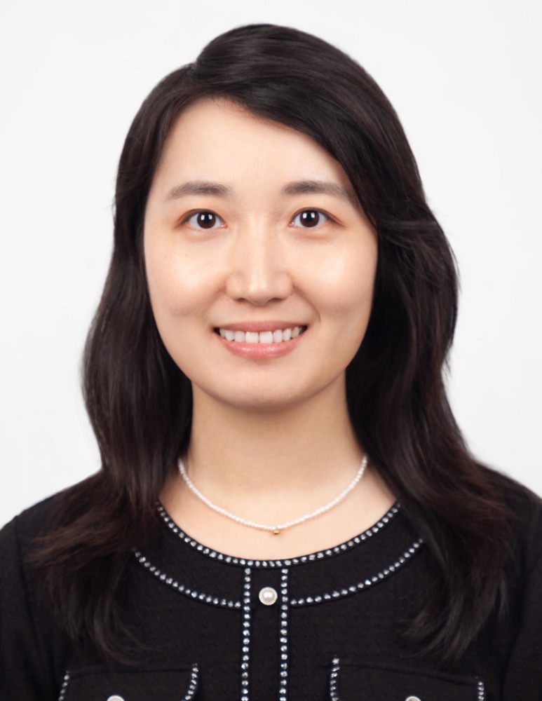 Qi Lei