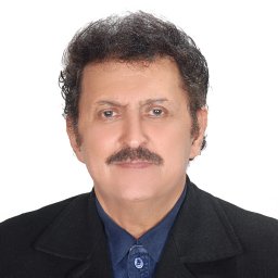Mohammad Sadegh Sadeghian