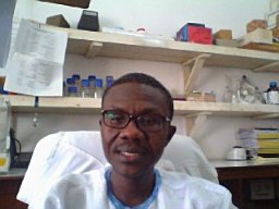 Adolf K Awua