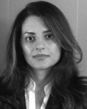 Elham K. Moghaddam