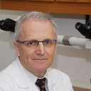 Gunter Haroske