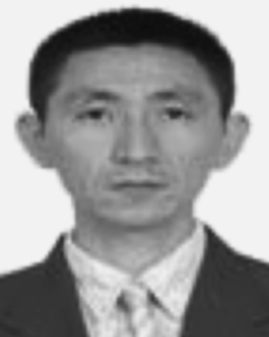 Ding Qiang