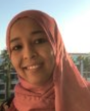 Azza H. Ahmed