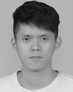 Ting Lan