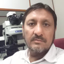 Ghulam Haider