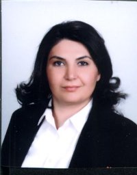 Omeroglu P Yolci