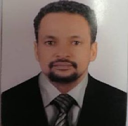 Talha Albadawi Abdelbagi