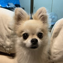 Hideyuki Sakaki