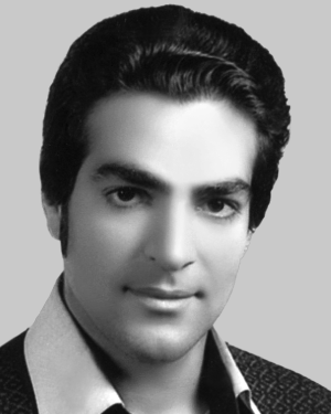 Mehdi Veisi