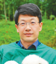 Desheng Li