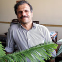 Saeed Bazgeer