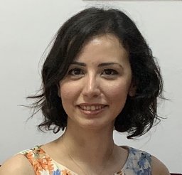 Sanem A Aykan