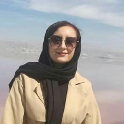 r memarzadeh