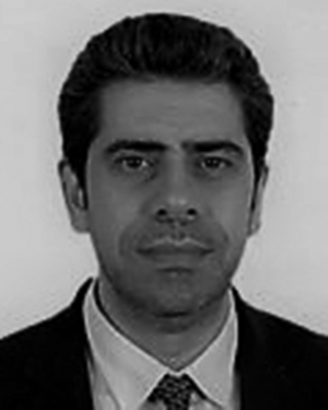 Can Zulfikar