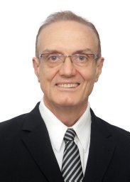 V. C. Pandolfelli