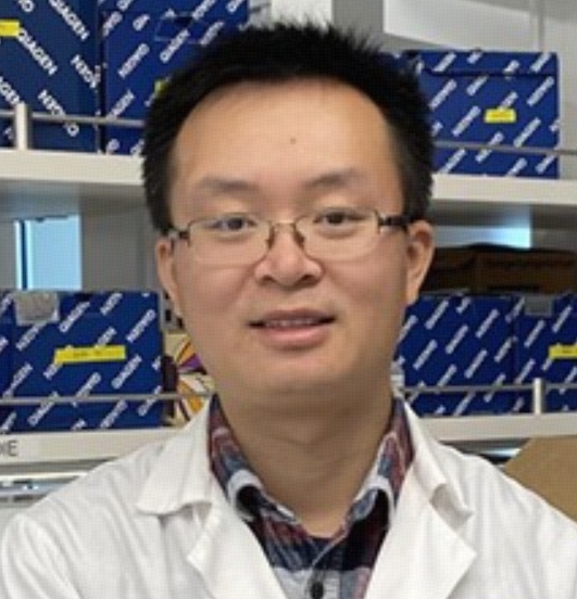 Feng Liu