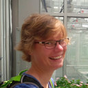 Antje M K Thamm