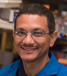 Aldrin Gomes