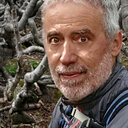Daniel M. Caceres