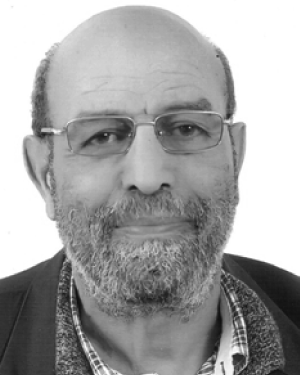 Ammar Bouallegue