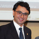 Orlando Paciello