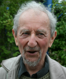Harvey Goldstein