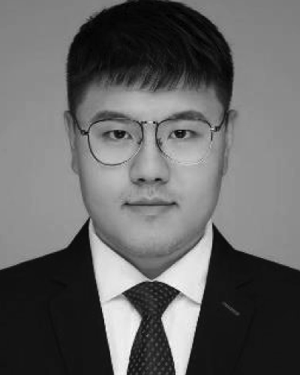 Hengzhen Feng