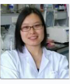 Huirong Yang