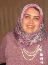 Alaa H Sewid