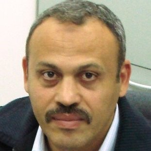 Alaaeldin A. Hamza