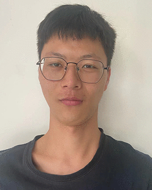 Qi Wang
