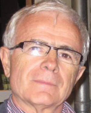 Dan S. Necsulescu