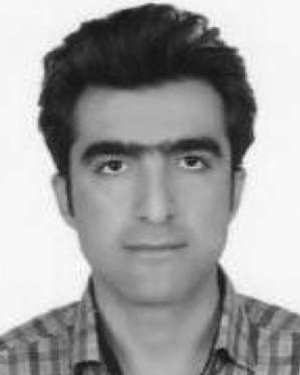 Mohammad Ramin Feizi